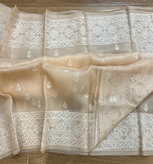 Pure organza silk chikankari work  saree with blouse