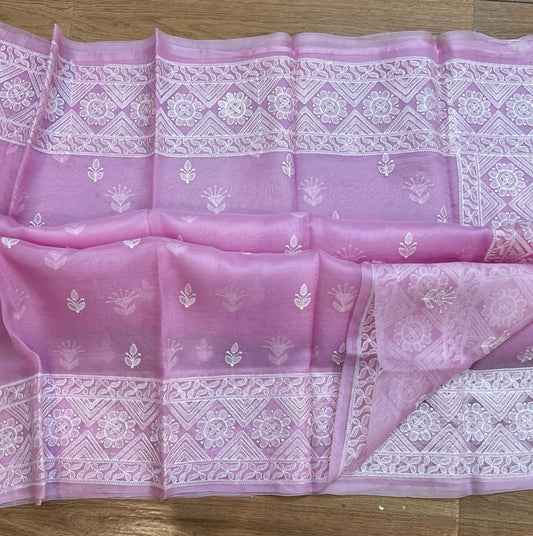 Pure organza silk chikankari work  saree with blouse