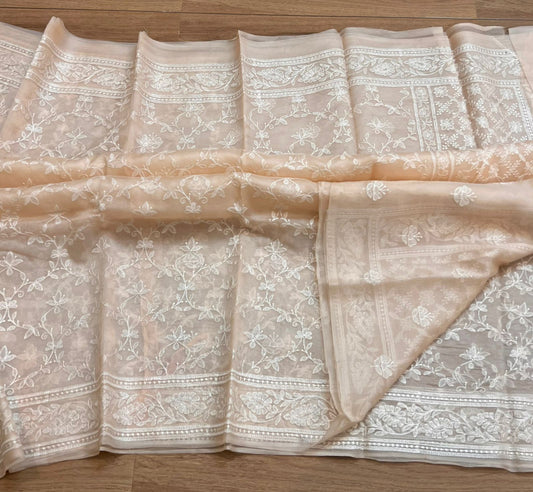 Pure organza silk chikankari work  saree with blouse