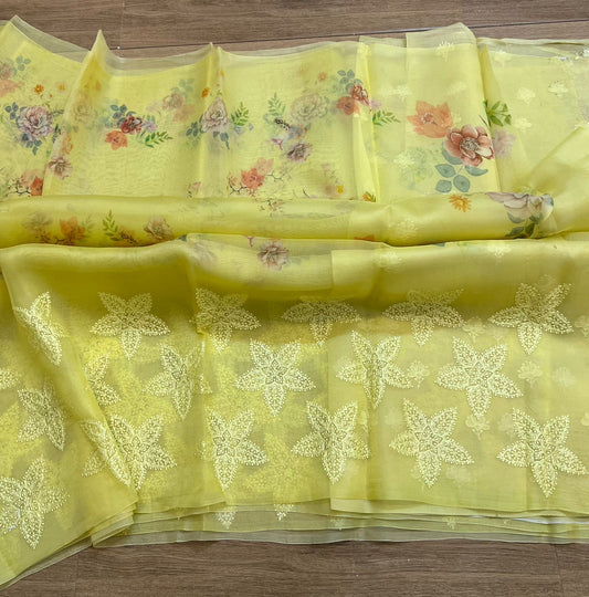 Pure organza silk chikankari work  saree with blouse