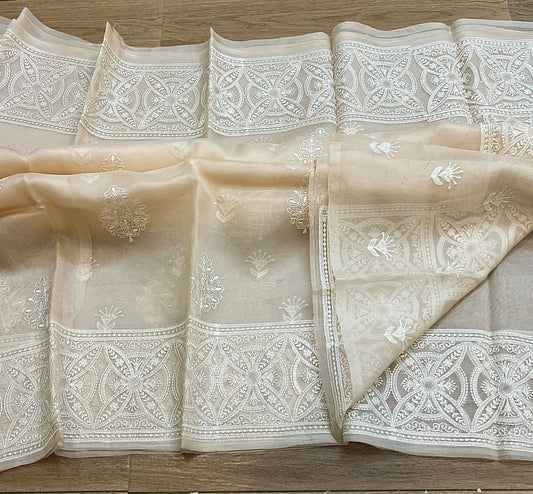 Pure organza silk chikankari work  saree with blouse