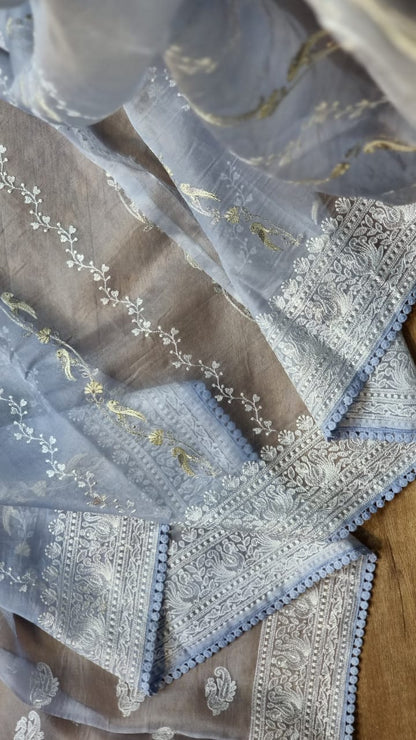 Pure Organza Silk Saree With Chikankari Hand-Work and Crochet lace