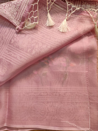 Pure Organza Silk Saree With Full Jaal Floral Hand-Work